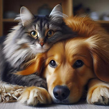 Load image into Gallery viewer, Cat And Dog 30*30CM(Picture) Full Round Drill Diamond Painting