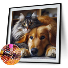 Load image into Gallery viewer, Cat And Dog 30*30CM(Picture) Full Round Drill Diamond Painting