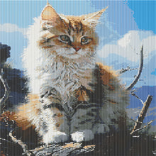 Load image into Gallery viewer, Cat 40*50CM(Canvas) Full Round Drill Diamond Painting