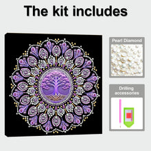 Load image into Gallery viewer, DIY Pearl Painting Kit 25x25CM Mandala Framed Handmade Pearl Material Art Set Room Wall Decoration
