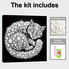 Load image into Gallery viewer, DIY Pearl Painting Kit 25x25CM Cat Framed Handmade Pearl Material Art Set Room Wall Decoration