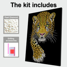 Load image into Gallery viewer, DIY Pearl Painting Kit 30x40CM Leopard Framed Handmade Pearl Material Art Set Room Wall Decoration