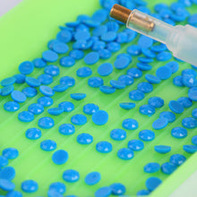 Load image into Gallery viewer, Round Drills Package DIY Embroidery Diamond Painting Rhinestones (DMC 995)