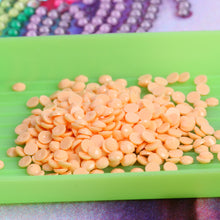 Load image into Gallery viewer, Round Drills Package DIY Embroidery Diamond Painting Rhinestones (DMC 3856)