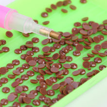 Load image into Gallery viewer, Round Drills Package DIY Embroidery Diamond Painting Rhinestones (DMC 898)