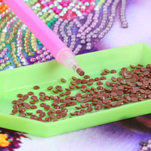 Load image into Gallery viewer, Round Drills Package DIY Embroidery Diamond Painting Rhinestones (DMC 898)