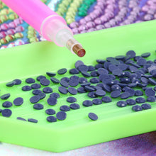 Load image into Gallery viewer, Round Drills Package DIY Embroidery Diamond Painting Rhinestones (DMC 823)