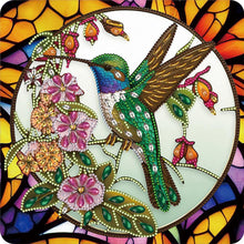Load image into Gallery viewer, Hummingbird Glass Painting 30*30CM(Canvas) Partial Special Shaped Drill Diamond Painting