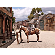 Load image into Gallery viewer, The Cowboy Town Of Tabernas-Almeria 40*30CM(Canvas) Full Round Drill Diamond Painting
