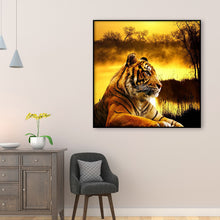 Load image into Gallery viewer, Tiger 30x30cm(Canvas) full round drill diamond painting
