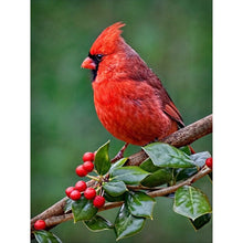 Load image into Gallery viewer, Nordic Cardinal 30*40CM(Canvas) Full Round Drill Diamond Painting
