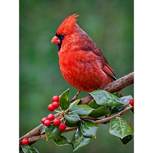 Nordic Cardinal 30*40CM(Canvas) Full Round Drill Diamond Painting