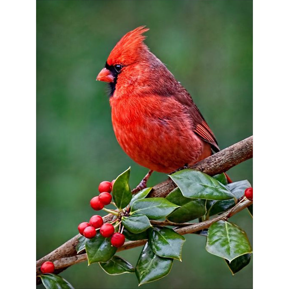 Nordic Cardinal 30*40CM(Canvas) Full Round Drill Diamond Painting