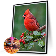 Load image into Gallery viewer, Nordic Cardinal 30*40CM(Canvas) Full Round Drill Diamond Painting
