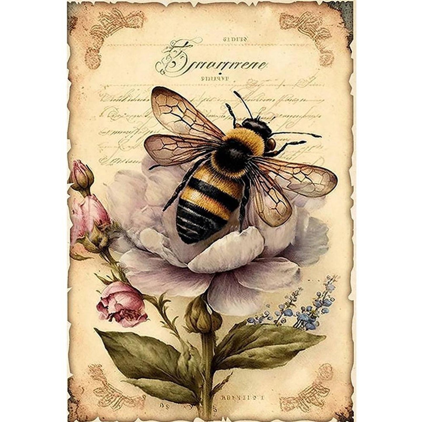 Vintage Poster - Bees And Fresh Flowers - Full 11CT Stamped Cross Stitch 40x60CM - Huacan