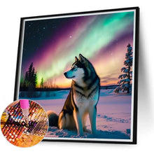 Load image into Gallery viewer, Aurora Snow Wolf 40*40CM(Canvas) Full Round Drill Diamond Painting
