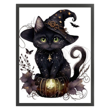 Load image into Gallery viewer, Yishu - Magic Black Cat - 50*65CM 11CT 3 Stamped Cross Stitch
