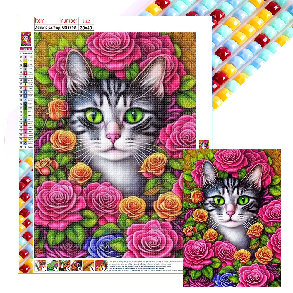 Cat 30*40CM(Canvas) Full Square Drill Diamond Painting