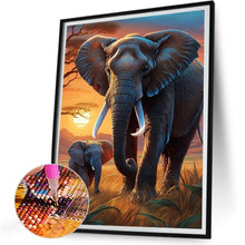 Load image into Gallery viewer, Elephant 30*40CM(Canvas) Full Round Drill Diamond Painting
