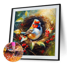 Load image into Gallery viewer, Bird In A Nest 30*30CM(Canvas) Full Round Drill Diamond Painting
