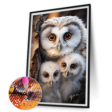 Load image into Gallery viewer, Owl Mother And Baby 30*45CM(Canvas) Full Round Drill Diamond Painting
