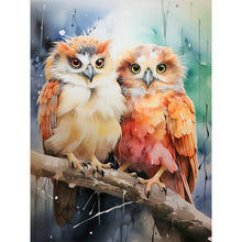 Load image into Gallery viewer, Forest Owl 30*40CM(Canvas) Full Round Drill Diamond Painting
