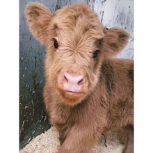 Load image into Gallery viewer, Highland Baby Calf 30*40CM(Canvas) Full Round Drill Diamond Painting
