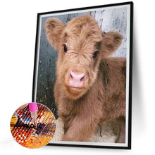Load image into Gallery viewer, Highland Baby Calf 30*40CM(Canvas) Full Round Drill Diamond Painting
