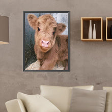 Load image into Gallery viewer, Highland Baby Calf 30*40CM(Canvas) Full Round Drill Diamond Painting
