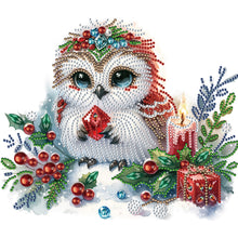 Load image into Gallery viewer, Winter Owl 30*30CM(Canvas) Partial Special Shaped Drill Diamond Painting
