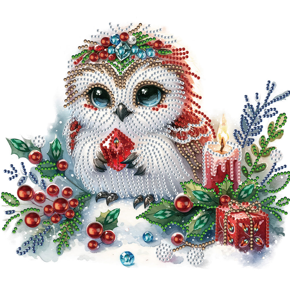 Winter Owl 30*30CM(Canvas) Partial Special Shaped Drill Diamond Painting