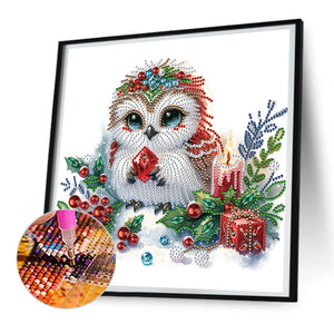 Winter Owl 30*30CM(Canvas) Partial Special Shaped Drill Diamond Painting