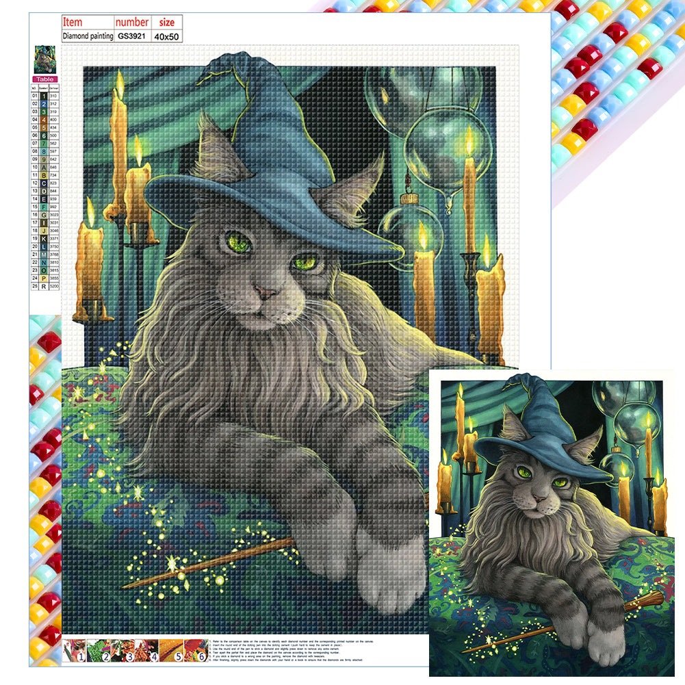 Witch Cat 40*50CM(Canvas) Full Square Drill Diamond Painting