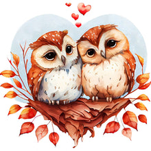 Load image into Gallery viewer, Huancan - Owl Couple - 30*30CM 18CT 2 Stamped Cross Stitch
