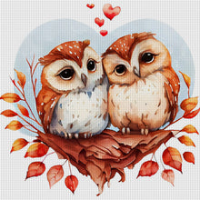 Load image into Gallery viewer, Huancan - Owl Couple - 30*30CM 18CT 2 Stamped Cross Stitch
