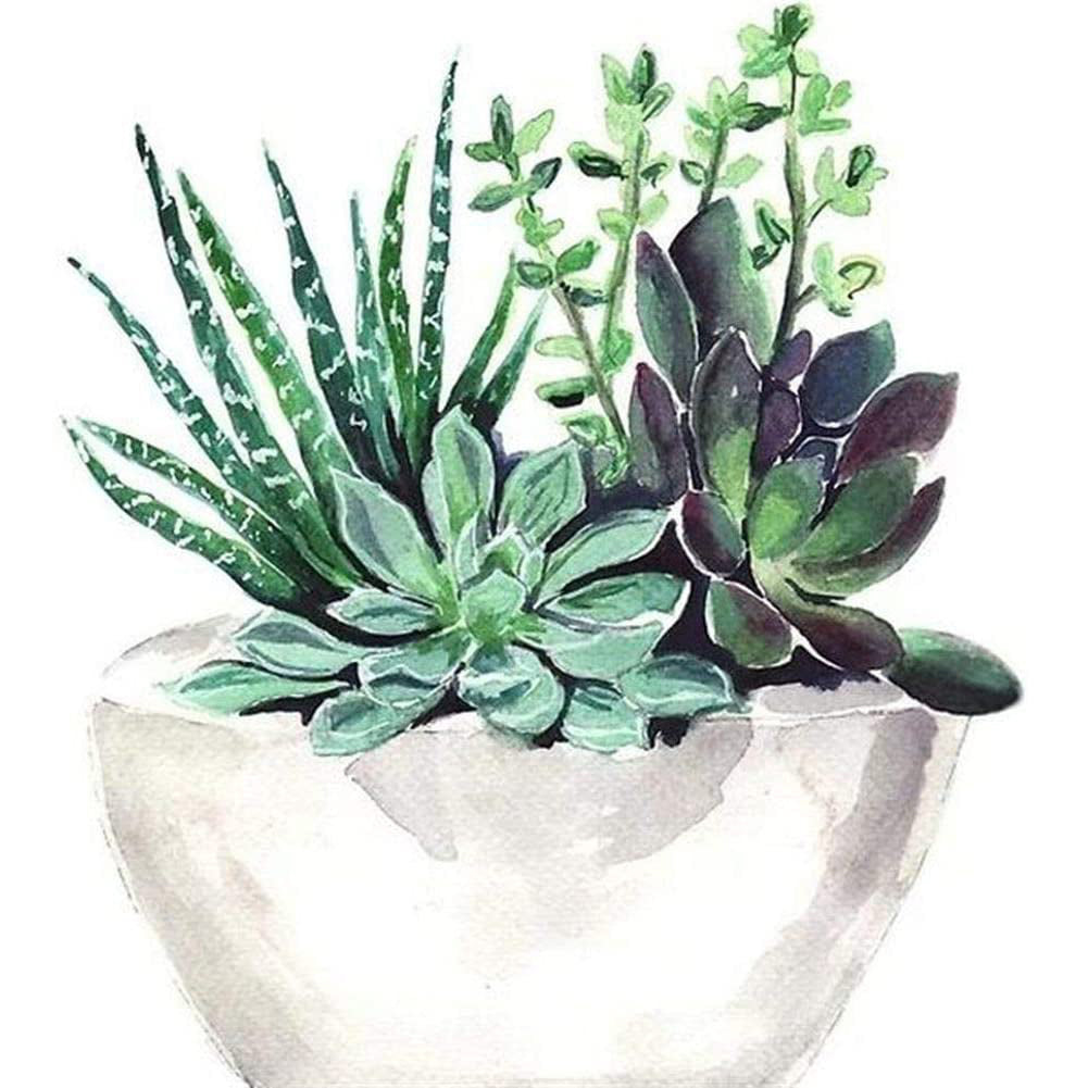 Succulents 30*30CM(Canvas) Full Round Drill Diamond Painting