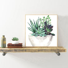 Load image into Gallery viewer, Succulents 30*30CM(Canvas) Full Round Drill Diamond Painting
