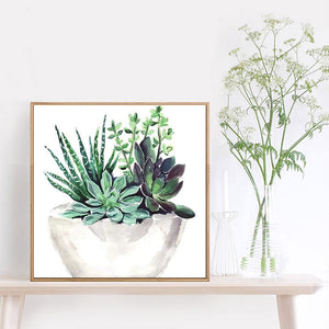 Succulents 30*30CM(Canvas) Full Round Drill Diamond Painting