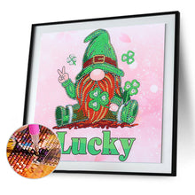 Load image into Gallery viewer, Gnome 30*30CM(Canvas) Partial Special Shaped Drill Diamond Painting
