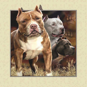 Pug Outside The Frame 30*30CM(Canvas) Full Round Drill Diamond Painting