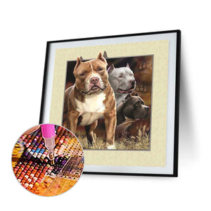 Pug Outside The Frame 30*30CM(Canvas) Full Round Drill Diamond Painting