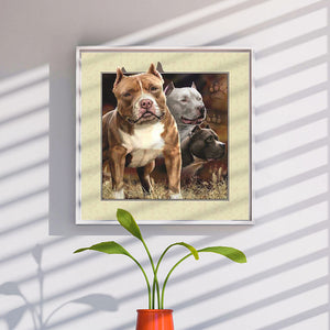 Pug Outside The Frame 30*30CM(Canvas) Full Round Drill Diamond Painting