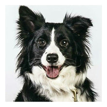 Load image into Gallery viewer, Sheepdog 30*30CM(Canvas) Full Square Drill Diamond Painting
