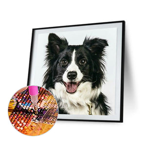 Sheepdog 30*30CM(Canvas) Full Square Drill Diamond Painting