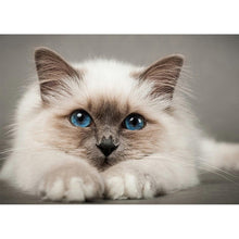 Load image into Gallery viewer, Cat 50*40CM(Canvas) Full Round Drill Diamond Painting
