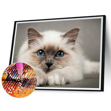 Load image into Gallery viewer, Cat 50*40CM(Canvas) Full Round Drill Diamond Painting
