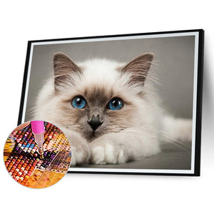 Cat 50*40CM(Canvas) Full Round Drill Diamond Painting