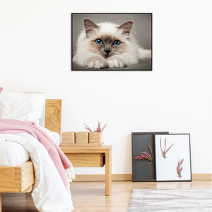 Cat 50*40CM(Canvas) Full Round Drill Diamond Painting