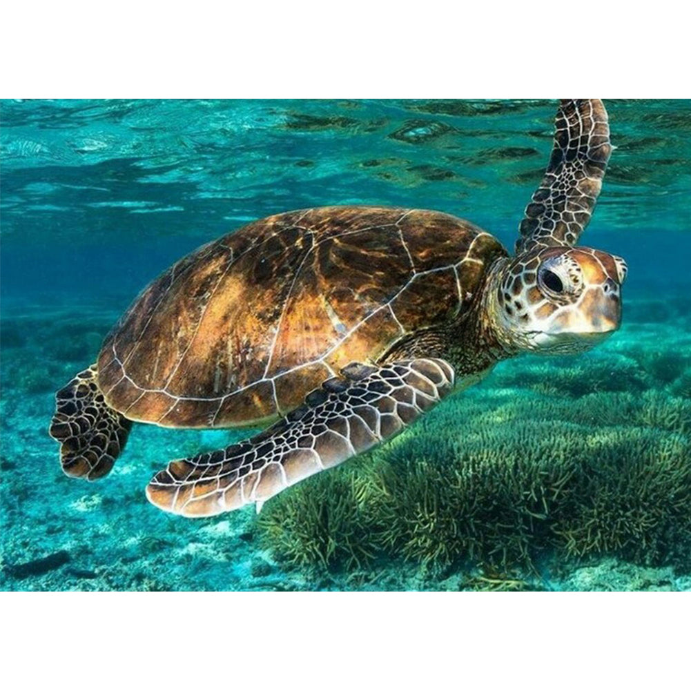 Turtle 50*40CM(Canvas) Full Round Drill Diamond Painting