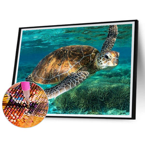 Turtle 50*40CM(Canvas) Full Round Drill Diamond Painting